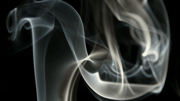 UnevenBriskHornshark-max-1mb