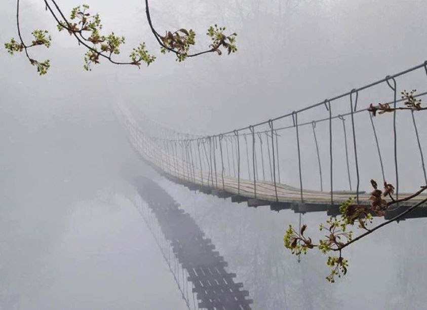 529fd1fe3dfdd2144d687f2899fa853d