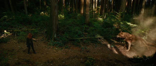 vlcsnap-2010-06-10-15h30m55s75