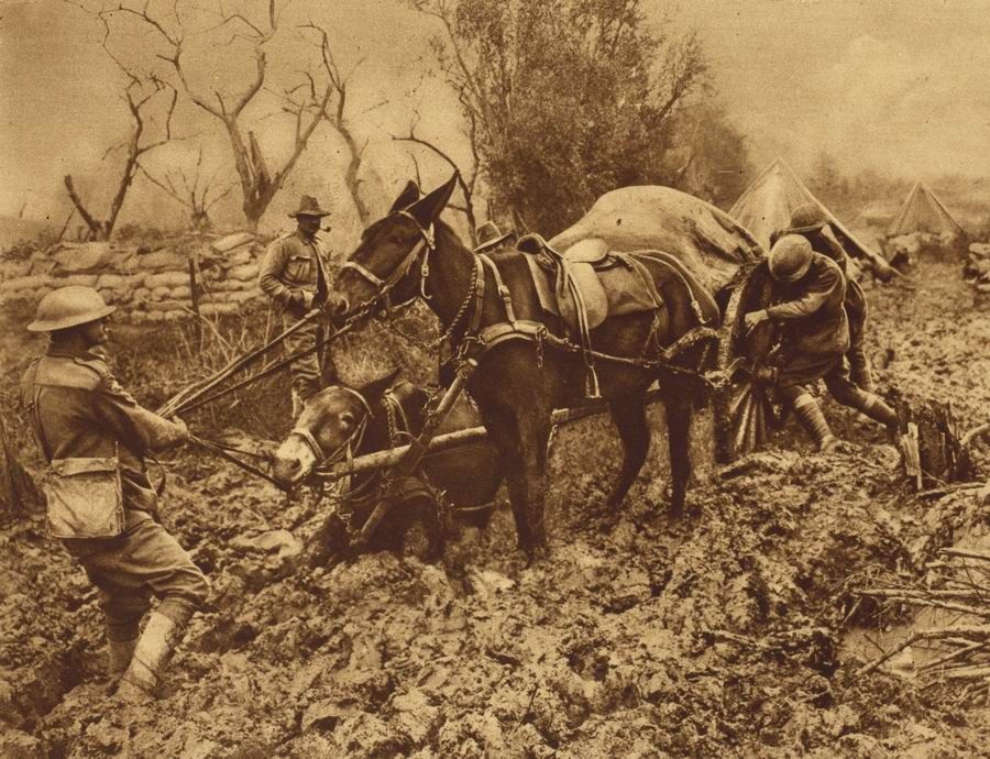 dc1e875558e27a02b862902ad974609a